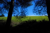 Clicca qui per vedere l'immagine in dettaglio